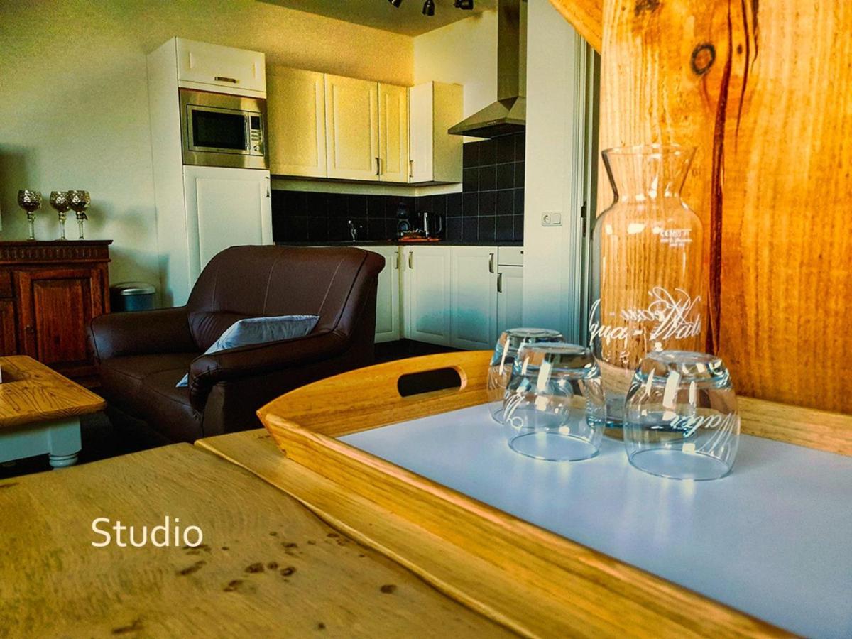 Abelshoeve Apartment Gieterveen